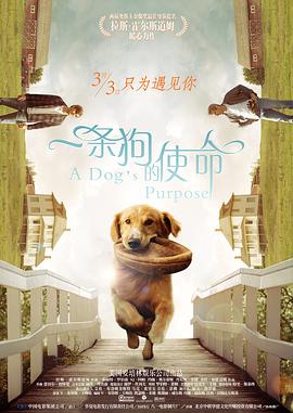 亚洲精品中文字幕一区在线